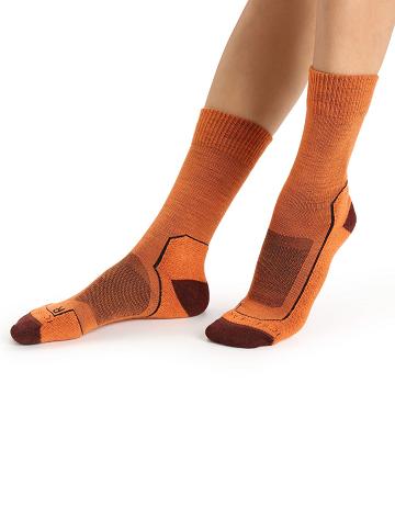 Chaussettes Icebreaker Merino Hike+ Light Crew Femme Orange | FR 1424CTVE